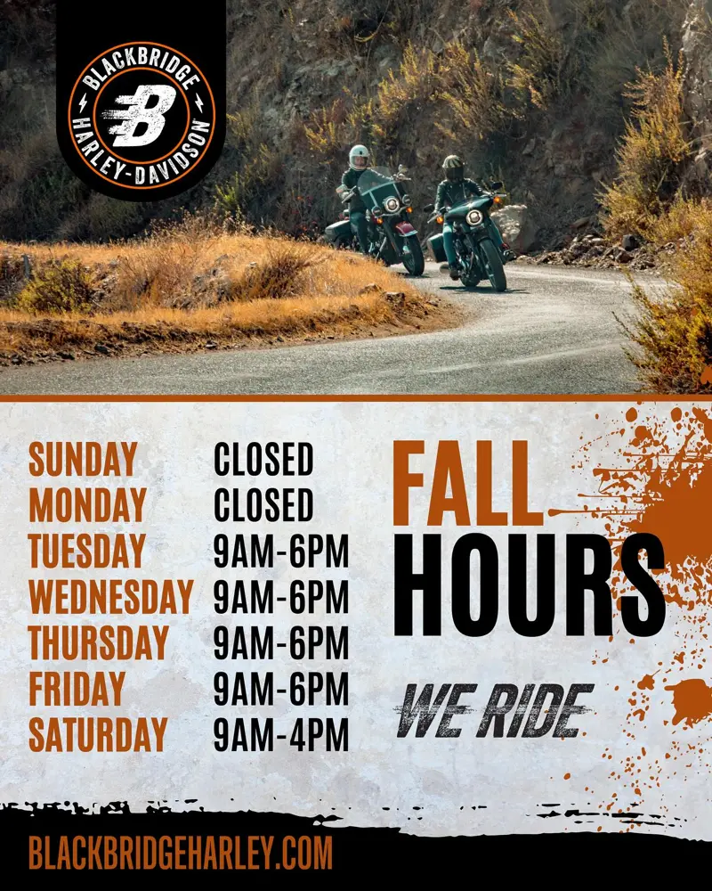 Blackbridge Harley-Davidson - Work Sample 01