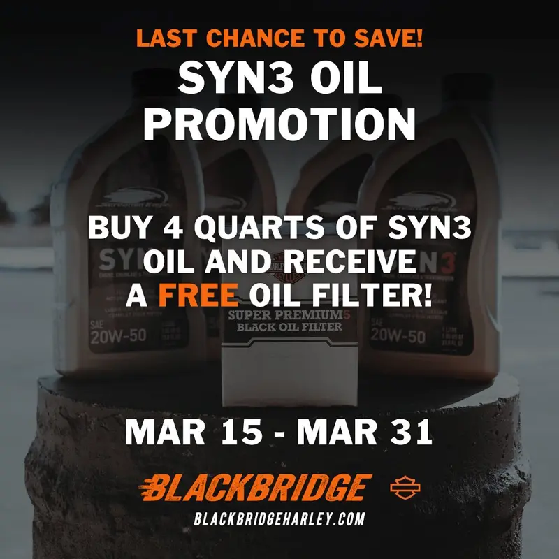 Blackbridge Harley-Davidson - Work Sample 05