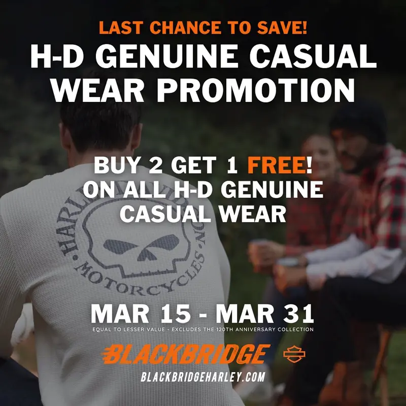 Blackbridge Harley-Davidson - Work Sample 06