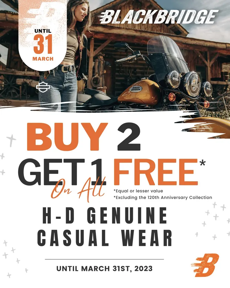 Blackbridge Harley-Davidson - Work Sample 07