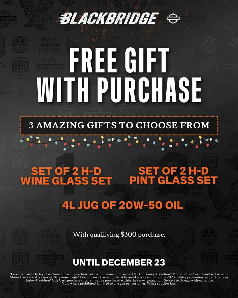 Blackbridge Harley-Davidson - Work Sample 17