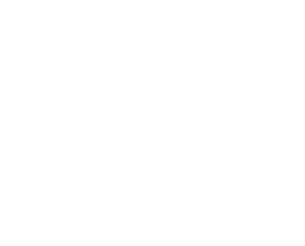 Steven Lee Olsen logo