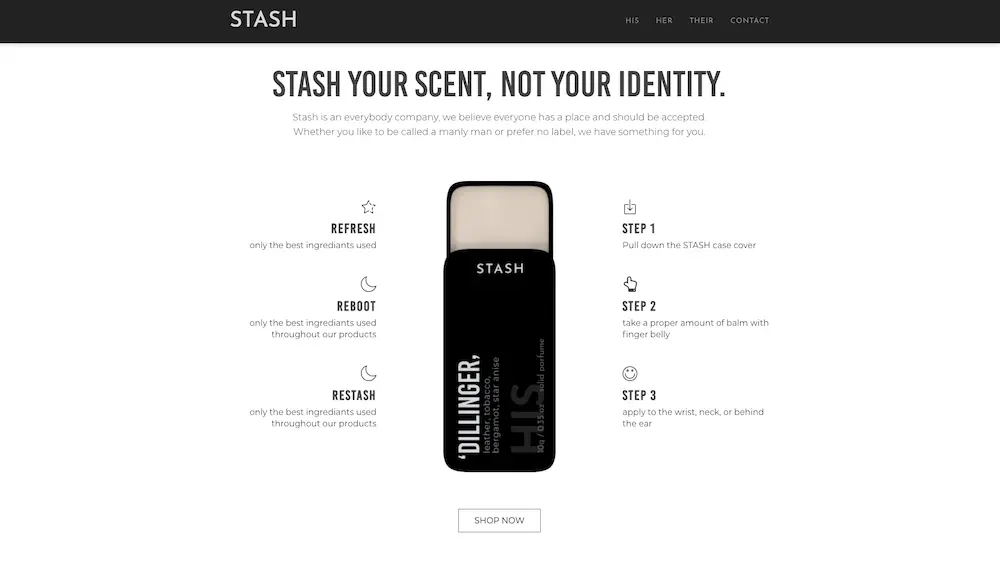 STASH Website Design - Mockup 2